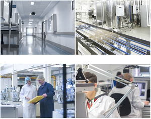 Topkwaliteit Ursolinezuur Poeder Cas 77-52-1 Veelzijdig Ingrediënt Voor Cosmetische Producten En Gezondheidssupplementen - Product Image 5