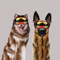 PC Lens Anti Impact Big Dog Lunettes de soleil coupe-vent UV400 Pet Eyewear Dogs Ski Goggles