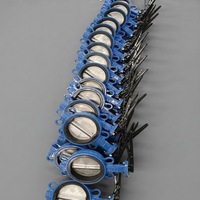 Válvula de Mariposa Manual PN16 con Cuerpo de Hierro Dúctil, Sello Blando EPDM y Volante de Turbina para Agua (Clase WOG)