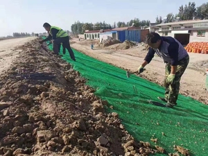 3D HDPE 산업용 침식 방지 및 채광 토공 프로젝트의 경사면 보호를 위한 입체 식생망 - Product Image 6