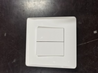 Base de Interruptor de Pared Doble BLIS CJ120, 10A de Corriente Máxima, Interruptor de Pared Moderno para el Hogar, Enchufes Estándar EU/US
