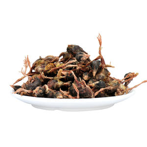 Vente en gros de cubes de poitrine de poulet en dés de <span class=keywords><strong>foie</strong></span> de boeuf lyophilisés originaux à haute nutrition et haute teneur en protéines sous vide - Product Image 4