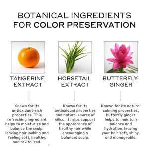 Lance Anti Grey Hair Shampoo Etiqueta privada Mejora la vitalidad del color del cabello Reduce la apariencia gris Grey Hair Shampoo para hombres y mujeres - Product Image 4