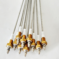 Électrode d'allumage personnalisée en céramique d'alumine NPT 1/2 pour brûleur à gaz, niveau d'eau de chaudière, bougie d'allumage