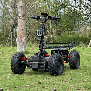Scooter Todoterreno de Alta Potencia de Fábrica Directa, Cuatro Ruedas, Capacidad de Carga de 200 kg, 80 km de Autonomía, Batería de Litio, 60 km/h - Product Image 2