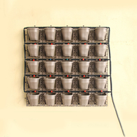 Jardinière murale suspendue auto-arrosant Vertical Herb Green Wall System Pots avec support