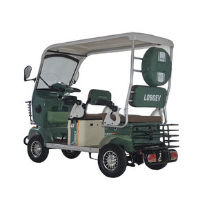 Pabrik Model baru desain Mini Golf Cart e-bike <span class=keywords><strong>4</strong></span> roda sepeda motor listrik dengan Panel surya atap - Product Image 5