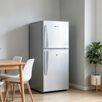 Réfrigérateur compact 2 portes avec congélateur supérieur pour usage domestique et appartement (vente en gros)