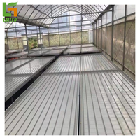 Plateaux d'inondation de table de flux et de reflux de haute qualité systèmes de culture hydroponiques en serre agricole