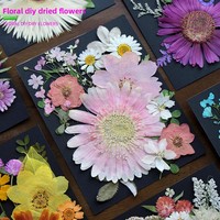 Bunga Kering Tekan Dekoratif Herbarium Seni Bunga Besar Bahan Kelopak Bunga Kit DIY Buatan Tangan untuk Dekorasi Bingkai Foto Lampu Kipas