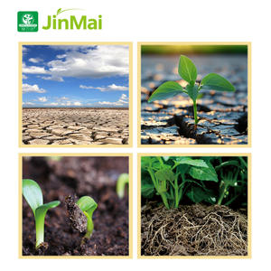 Engrais Organique Liquide Anti-Stress pour Plantes, Promoteur de Croissance, Acides Aminés, Protéines, B Zn, Matière Organique - Product Image 5