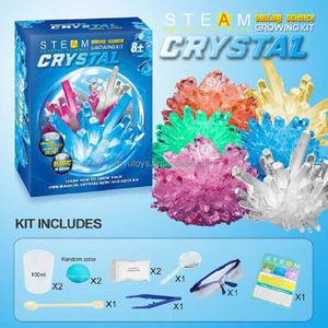 Jouet scientifique en cristal pour enfants Kit de culture de cristal DIY STEM Science Experiment for Child Education Game Easy DIY Project - Product Image 6