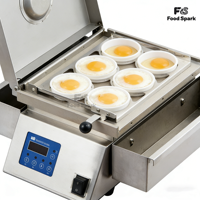 Machine à faire des omelettes et des œufs frits en acier inoxydable, 6 pièces, électrique, de qualité commerciale