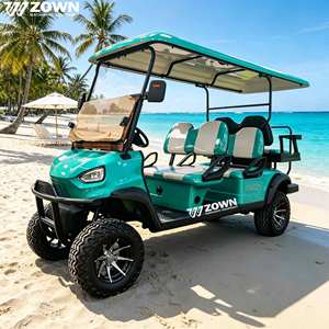Carrito de Golf Eléctrico ZOWN 2026 Mejorado de 4 Ruedas, 2/4/6 Plazas, Batería de Litio Personalizable, 2 Años de Garantía para Atracciones Turísticas - Product Image 1