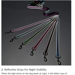 Laisse pour chien, en Nylon, réfléchissant, brillent dans <span class=keywords><strong>la</strong></span> nuit, pour un entraînement personnalisé, accessoire <span class=keywords><strong>de</strong></span> créateur, nouveauté - Product Image 2