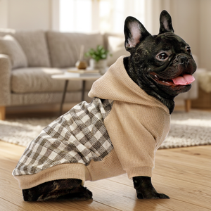 Luxury Solid Puppy Polyester Sweatshirt XS Dog Hoodie with Pocket Winter Pet Hooded Coat Breathable Birthday Sport Style - Product Image 3