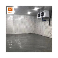 24 Ton Verse Vis Blast Vriezer Voor Vissen Business-30 Graden