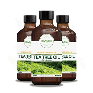 Minyak pijat pohon teh minyak esensial Pembersih pori-pori organik alami Label pribadi