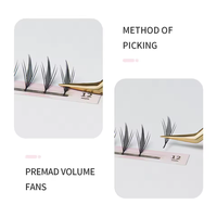 Extensions de cils synthétiques noires pré-faites à pointes douces individuelles de haute qualité, prêtes à être expédiées, faites à la main, naturelles, cils de fée DD