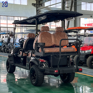 शिविर 6 सीटर गोल्फ कार्ट सस्ती कीमत गैस गोल्फ बग्गी कार गैसोलीन - Product Image 4