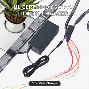 Adaptateur de chargeur de batterie au lithium 5A certifié pour scooter, voiture, vélo, hélicoptère 7.4V 12V 12.6V 14V DC OVP/OTP - Product Image 2