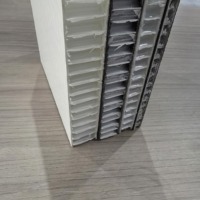Panneau composite sandwich personnalisé en fibre de verre et nid d'abeille PP au meilleur prix pour plateforme d'échafaudage et planche d'échafaudage