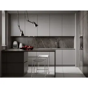 Modern Style L shape Kitchen Cabinets For House Ready To Assemble Multi Color Commercial Use Kitchen Cabinets
