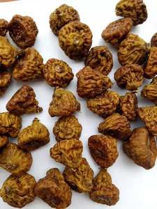 <span class=keywords><strong>Secadora</strong></span> <span class=keywords><strong>de</strong></span> <span class=keywords><strong>Bomba</strong></span> <span class=keywords><strong>de</strong></span> <span class=keywords><strong>Calor</strong></span> <span class=keywords><strong>de</strong></span> Ahorro Energético KINKAI JK03RD para Deshidratar Moras, Arándanos, Bayas, Higos y Albaricoques - Cuarto <span class=keywords><strong>de</strong></span> Secado por Aire Caliente - Product Image 3