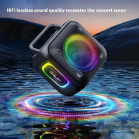 Enceinte portable en métal pour l'extérieur avec lumière RGB, batterie longue durée 6000 mAh, son stéréo HiFi sans fil, idéale pour les fêtes, la randonnée et le camping