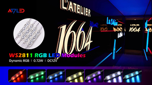 Modules LED intelligents RGBIC 5050 12V 3 LED, couleurs changeantes dynamiques, étanches, pour extérieur, 0,72W, IP68, éclairage de panneaux publicitaires rétroéclairés - Product Image 6