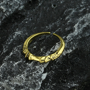 Game Dark Moon Ring Spectral Steed Whistle Ring <span class=keywords><strong>Melina</strong></span> Summon Torrent Tool Anneaux de doigt réglables pour femmes hommes Bijoux - Product Image 5