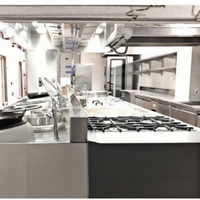 Ascenseur électrique industriel de haute qualité équipement de cuisine Commercial Salamander Grill Fish Machine Four à vendre