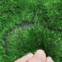 Rumput Buatan Lumut Sintetis - Simulasi Tinggi untuk Dekorasi Dinding Pernikahan, Penghijauan Dinding, Paving Lantai, dan Jendela Pusat Perbelanjaan