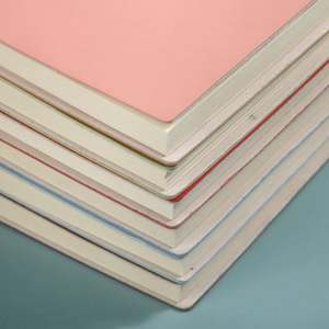 Agenda 2025 en Oferta, Diario Personalizado con Tapa de Cuero PU, Bonito Diario Rosa y Verde A5 para Niñas con Bolígrafo, Recargable - Product Image 3