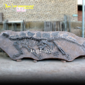 MY Dino SF12 Fossile <span class=keywords><strong>di</strong></span> Dinosauro Antico da Scavare, Fossile <span class=keywords><strong>di</strong></span> Dinosauro da Parete - Product Image 4