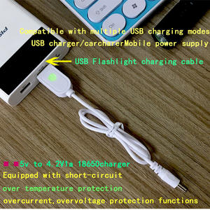 Precio de fábrica 3,7 V 18650 cargador de batería cables de carga linterna nail art lámpara cargador 5V a 4,2 V 1A cable de carga del coche - Product Image 2