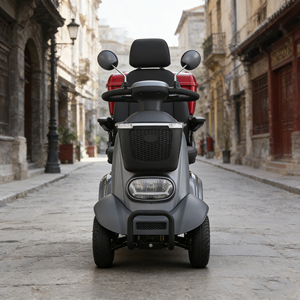 Light Luxury & Elegant/ Direct from Manufacturer/with Backrest/48V/60V Four-Wheel Electric Vehicle/ Spirite-2 - Product Image 1