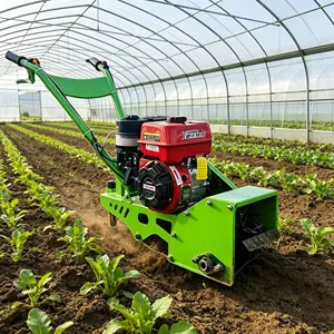 Tractor de un solo eje a gasolina versátil <span class=keywords><strong>para</strong></span> huertos y plantación de patatas, con barrena <span class=keywords><strong>para</strong></span> <span class=keywords><strong>tierra</strong></span> incluida - Product Image 3