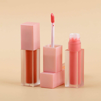 Nouveau design, gloss à lèvres cruelty-free, rouge à lèvres waterproof, marque privée, gloss à lèvres populaire, cosmétiques