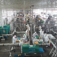 Industriële Ingeblikt Fruit Papaja Ananas Verwerkingsmachine Papaja Sap Productielijn