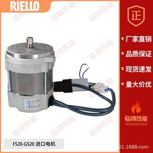 Ventiladores Industriales Riello FS10 GS10 FS20 GS20, Motores de Quemador de 90W y 120W - Product Image 1