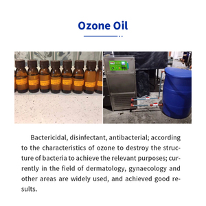 Qlozone procesamiento de frutas vegetales sistema de tratamiento de agua de ozono maquinaria purificador de agua industrial generador de ozono para agua - Product Image 5