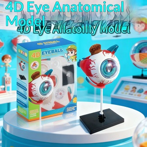 Modelo de anatomía ocular 4D MAXCARE transfronterizo MAC-CH08 de plástico desmontable, material didáctico médico para la educación infantil - Product Image 2