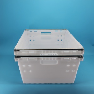 <span class=keywords><strong>Caisse</strong></span> en plastique pour la récolte de mangues, bananes, pommes, agrumes et légumes - Product Image 5