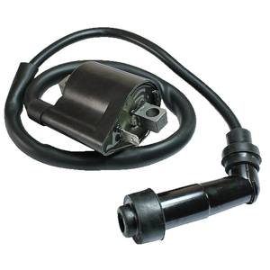 Bobine d'allumage Magnum 325 pour Mini Mercedes-Benz Nissan Chevrolet Mitsubishi Santa Fe Isuzu 2000-2002 Trail Boss 4X4 Jetta - Product Image 5