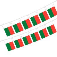 Vente en gros de guirlandes de drapeaux de Madagascar avec taille et motif personnalisés pour la décoration