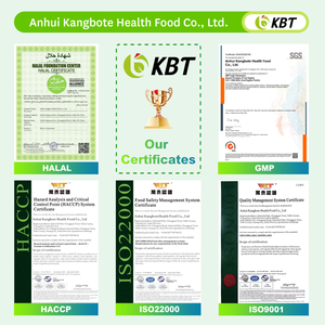 תוסף צמחי טבעי מאושר GMP, ייצור לפי הזמנה, קפסולות טבעוניות של בוסווליה סראטה בעוצמה נוספת, בהתאמה אישית - Product Image 3