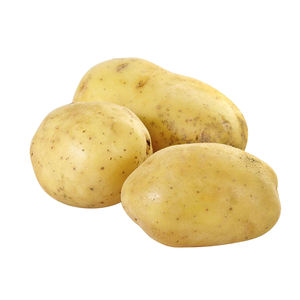 10-20KG/BAG Gold Potatoes for selling potato Grown in China,Shipping Now!