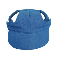 Casquette de baseball ajustable en toile de jean bleue et coton blanc beige pour animaux de compagnie, grande taille XL, pour chiens et chats - Vente en gros d'accessoires de mode pour animaux