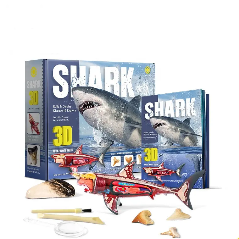 Hoye artisanat requin anatomie squelette créatif bricolage jouets drôle requin anatomie creuser Kit nouveau jouet 2023 enfants